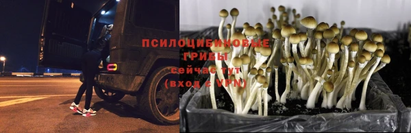 экстази Балабаново