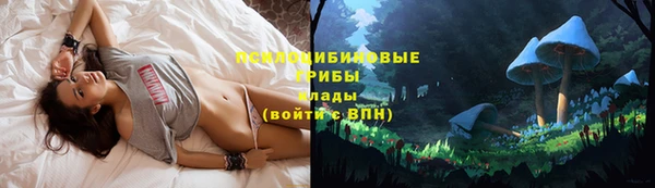 винт Балахна