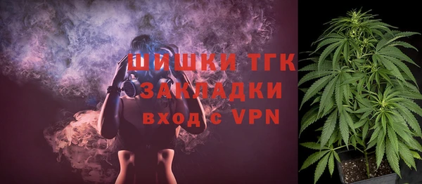 винт Арсеньев
